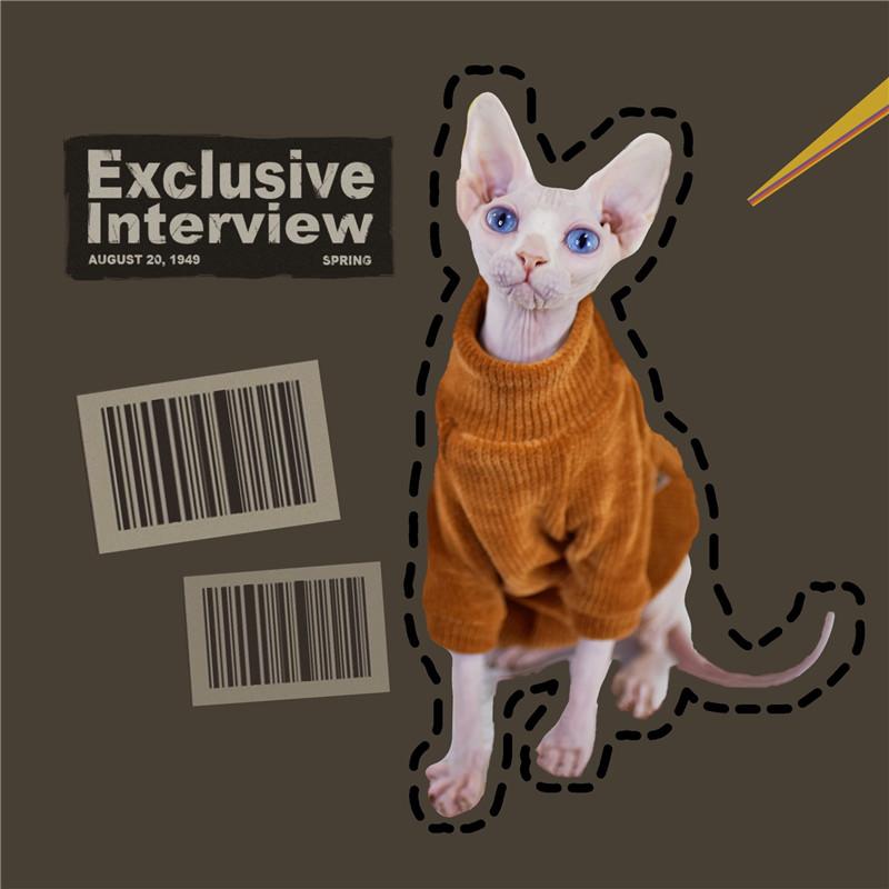 

Элегантный теплый свитер для кошек, модная одежда для котенка, безволосая лысая кошка для кошек, удобное зимнее платье для кошек, одежда