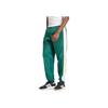 Adidas Panel Pants Collegiate Green Men Streetwear IS4557
