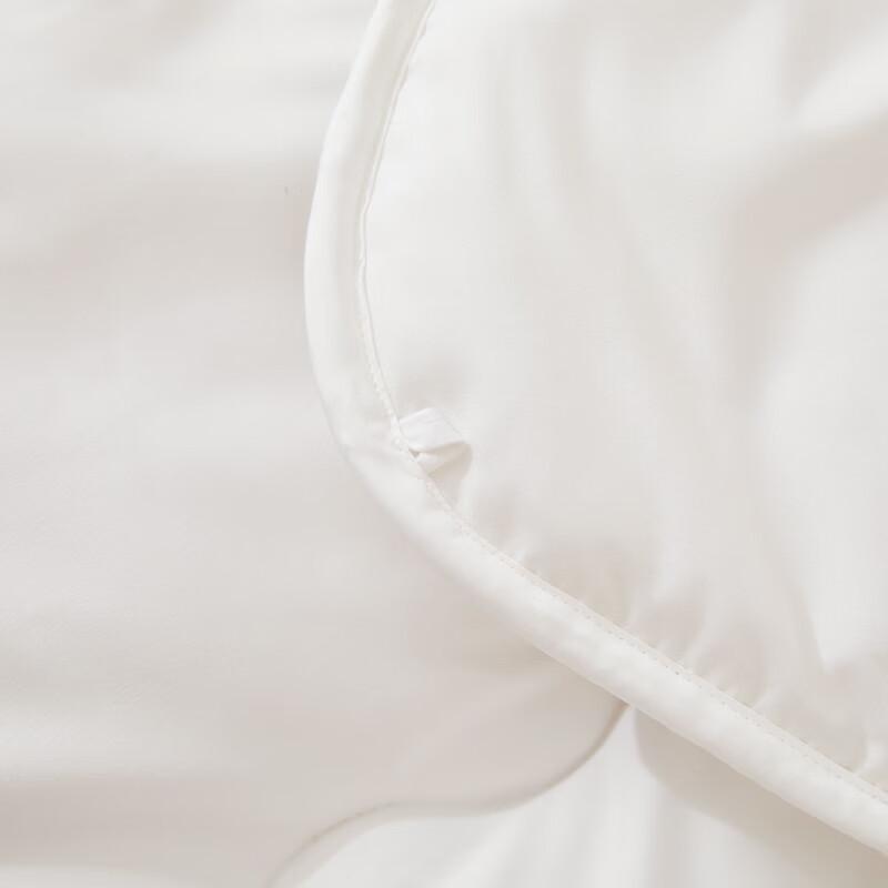 Paul Frank Monkey Sandwich Wool Quilt PF4607105