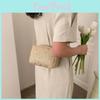 Fashion-forward Street-style Woven Crossbody Bag In White And Khaki 2023 Summer Women's Collection