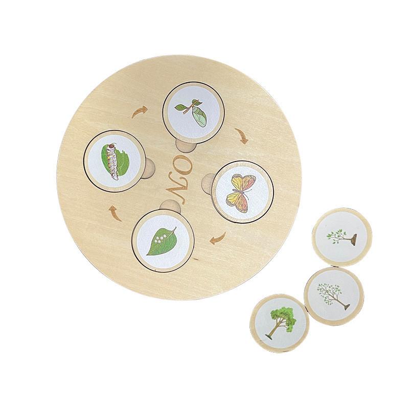 Wooden Kids Montessori Life Cycle Puzzle Educational Toy Cognitive Development