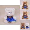Plush Bear Couple Toy With Pp Cotton Filling For Romantic Gifts And Bed Decor