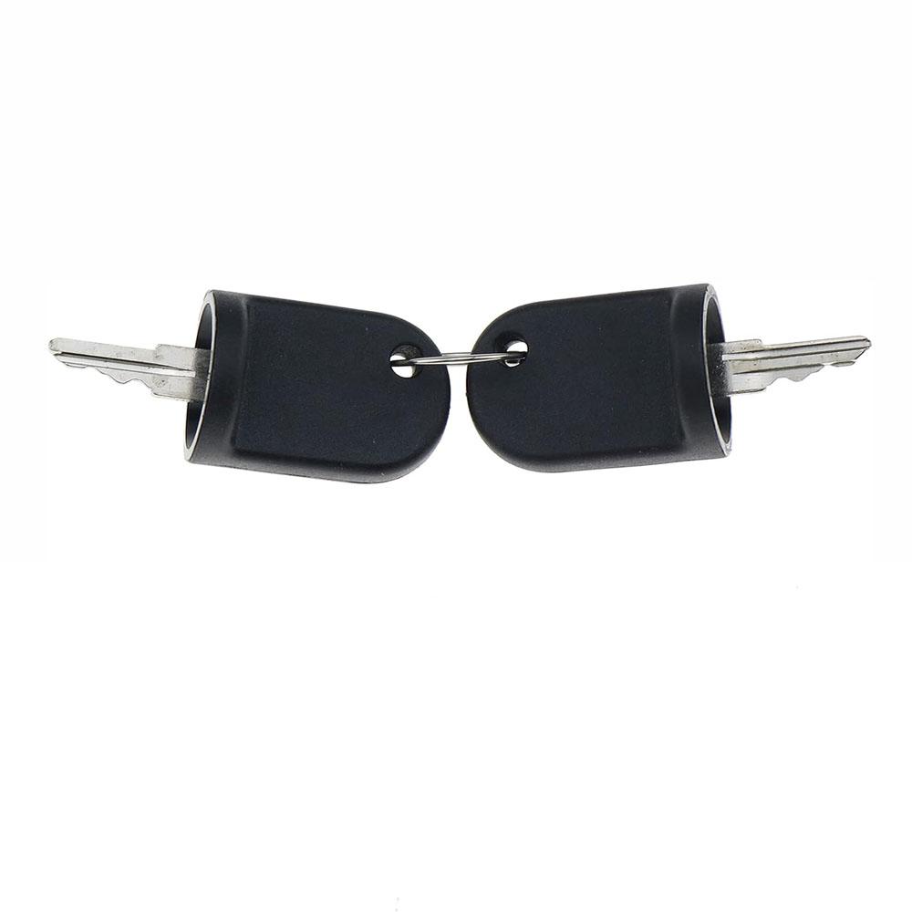 2Pcs Ignition Keys 611282 for EZGO Golf Cart RXV Gas / Electric Model 2008-Up