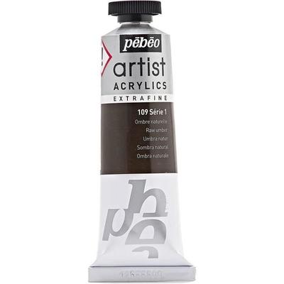 Tube 37 Ml Artist Acrylics Paint Extra Fine OMBRE NATURE
