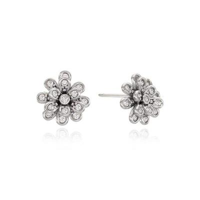 [Ost] More Flower Silver Earrings Ote122905Qww