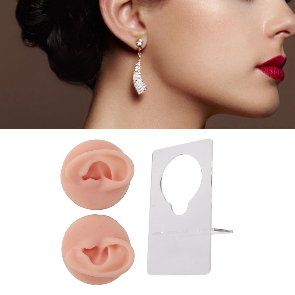 Ear Model Soft Silicone High Simulation Clear Structure Human Ear Model for Piercing Practice