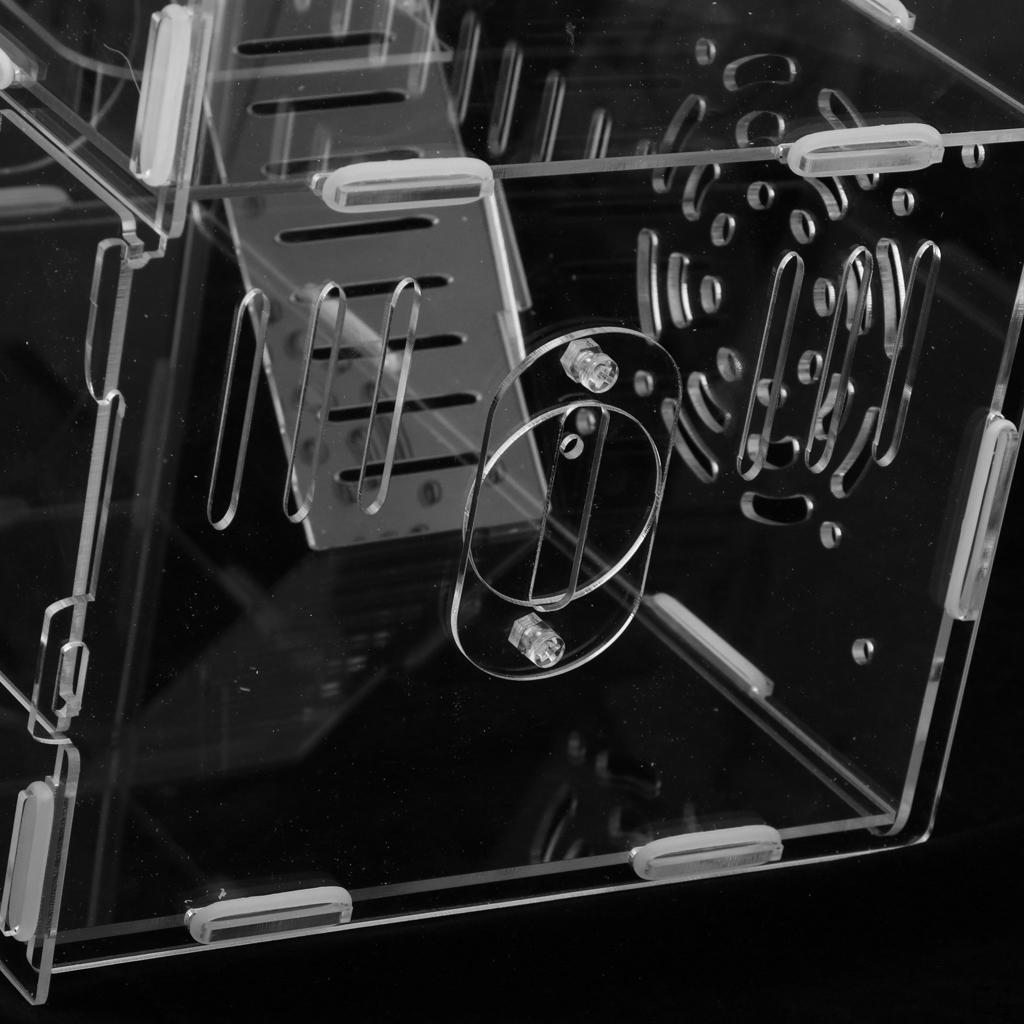 Reptile Terrarium Cage Tank Display Isopods Lizards Roach Invertebrates