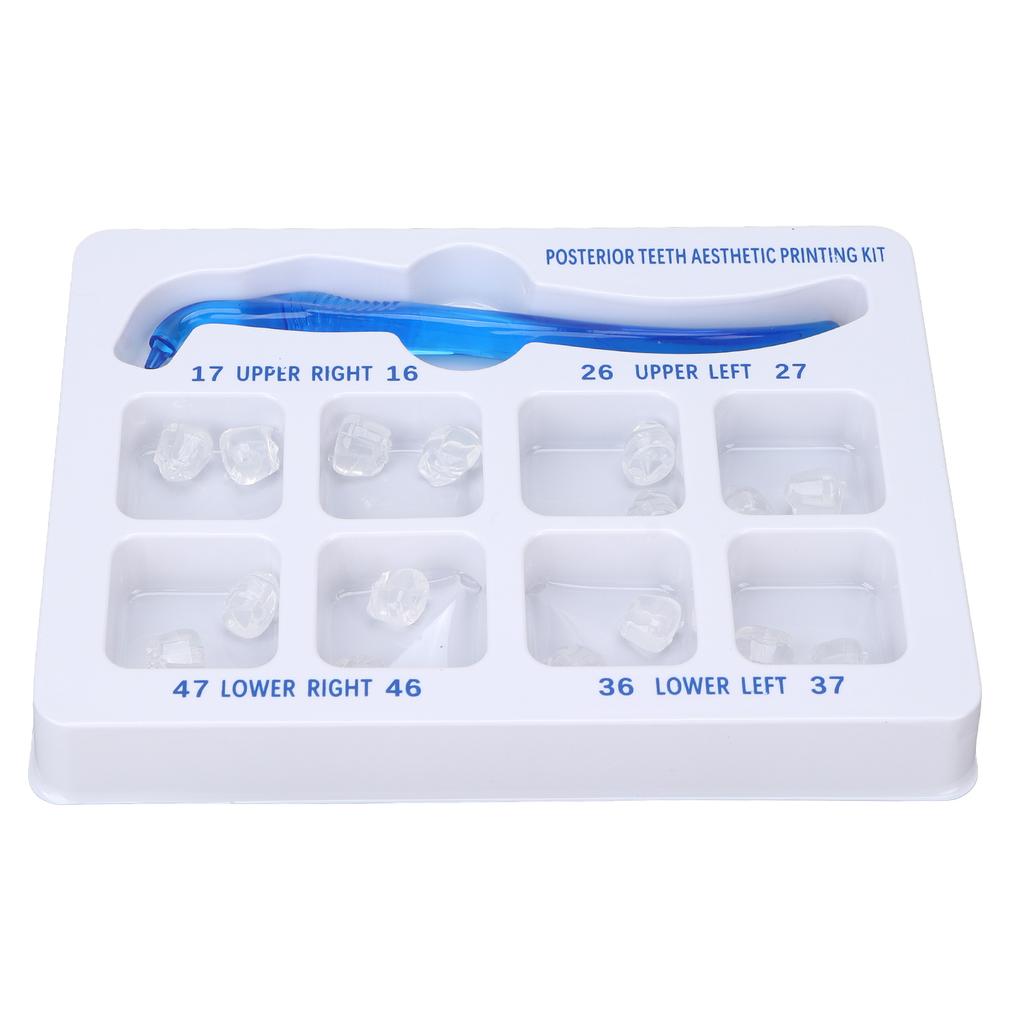 Ästhetisches Druckset für die hinteren Zähne, Gummi, kieferorthopädisches Füllungsrestaurationswerkzeug, Zahnarzt