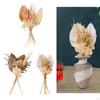 Natural Dried Flower Gift Home Floral Crafts Boho Pampas Grass Bouquet