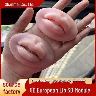 5D Realistic Pouty Lips Module - Semi-Permanent Microblading Practice Skin with Solid Silicone for European Lip Blushing.
