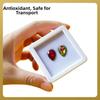 Transparent Gemstone Holder Flip Lid Crystal Display Case Packaging Jewelry Show  Jewelry