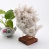 Walnut Base Ores Agate Rocks Home Decoraition Wood Support Base Display Holder Mineral Stand Rack