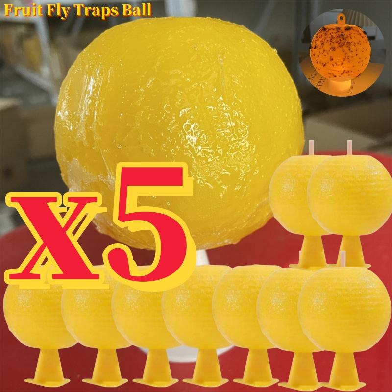 1-5PCS Ball Fruit Fly Catcher Pest Control Sticky Traps 8.2cm Wasp Bee Insect Trap Gnat Traps For Indoor Outdoor Kitchen Plants