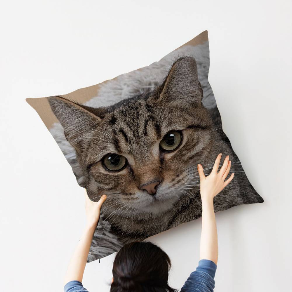 Cat Cute Kitten Stitch Lucky Dragon pillow cover sofa cushion cover home room decoration children gift