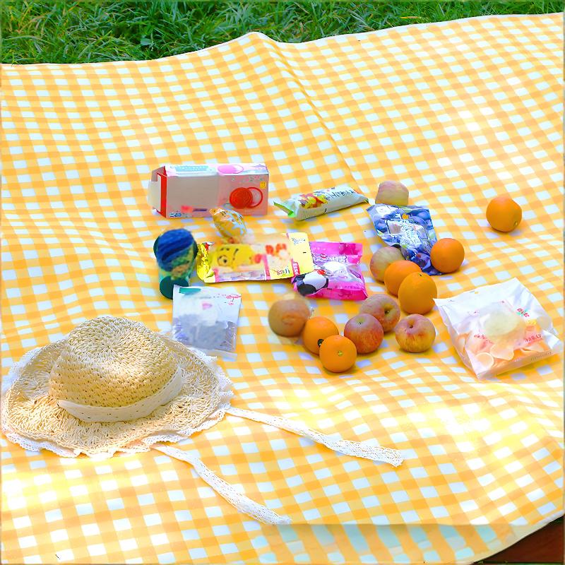 Beach Mat Waterproof Picnic Outdoor Sleeping Pad 2 Person Large Foldable Lightweight Sandproof For Camping and Hiking