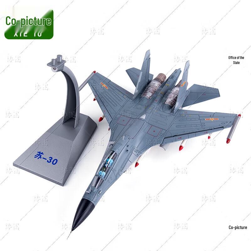 Su-30 Fighter Jet Model