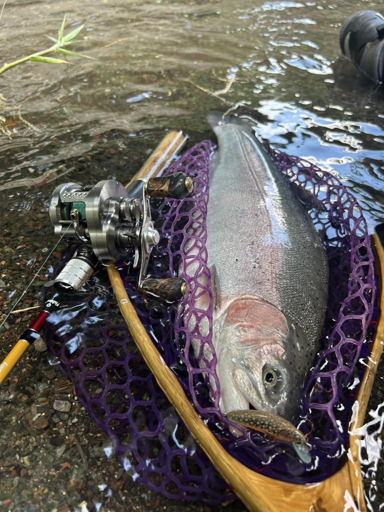 Gomexus Wooden Reel Handle 22mm Replacement Knob for Shimano and Daiwa CQ BFS Vanquish Compatible with Spinning and Baitcasting Universal Fit for