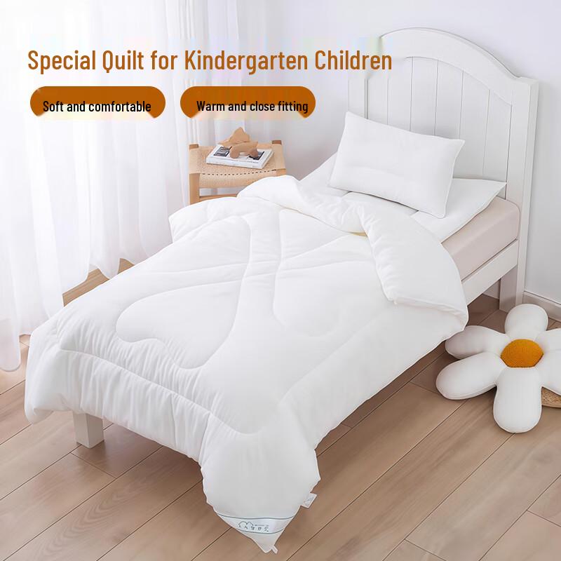 

Aiwei All-Season Fiber & Plush Duvet Inserts 120cm*150cm