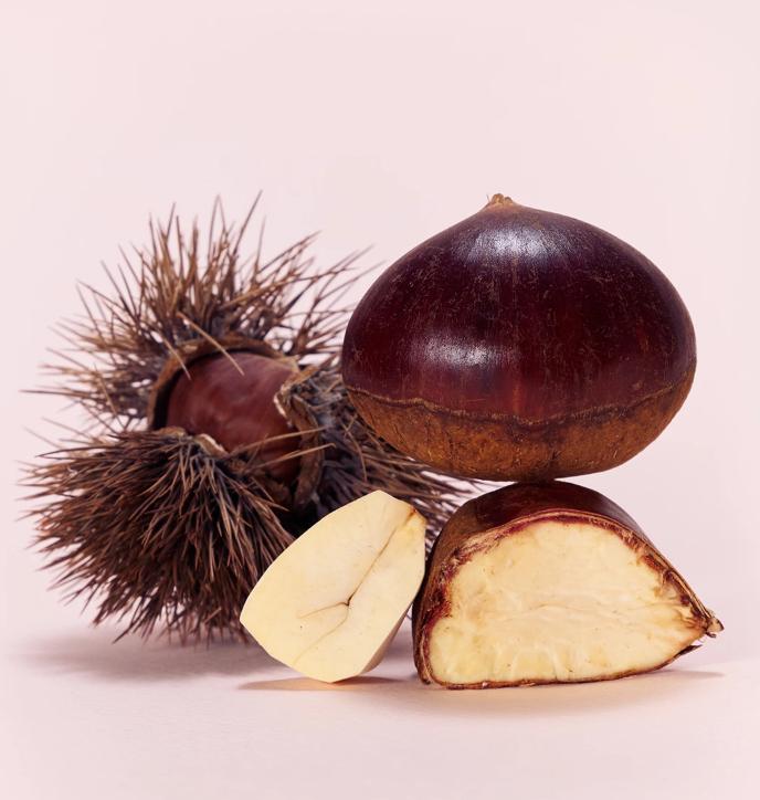 OSULLOC Marron Cream Black Tea 10 Sachets | Sweet Korean Jeju Chestnut Tea