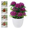 Multicolor Green Grass Potted White Flowerpot Simulation Plant Potted Desktop Ornament  Gift