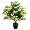 Nordic Style Variegated Monstera: Potted Plant for Home & Garden Decor