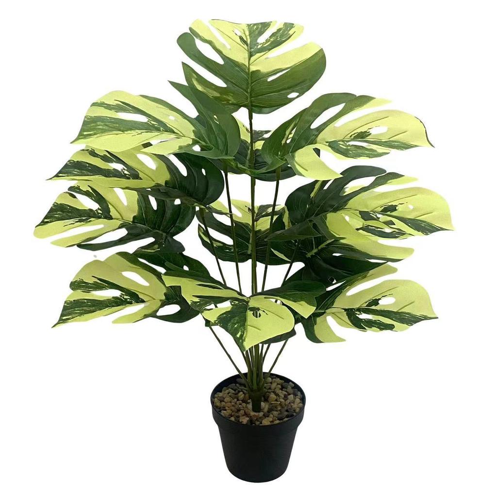 Nordic Style Variegated Monstera: Potted Plant for Home & Garden Decor