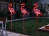 Solar Flamingo Ground Stake Light for Garden Decoration