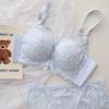 French Garden Lace Push-Up Wire-Free Bra Set for Small Busts