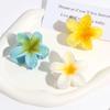 3Pcs/Set Sweet Flower Colroful Gradient Hair Claws Ponytail Cip Clamp Barrettes Hairpins For Women Girl Beach Hair Accessories