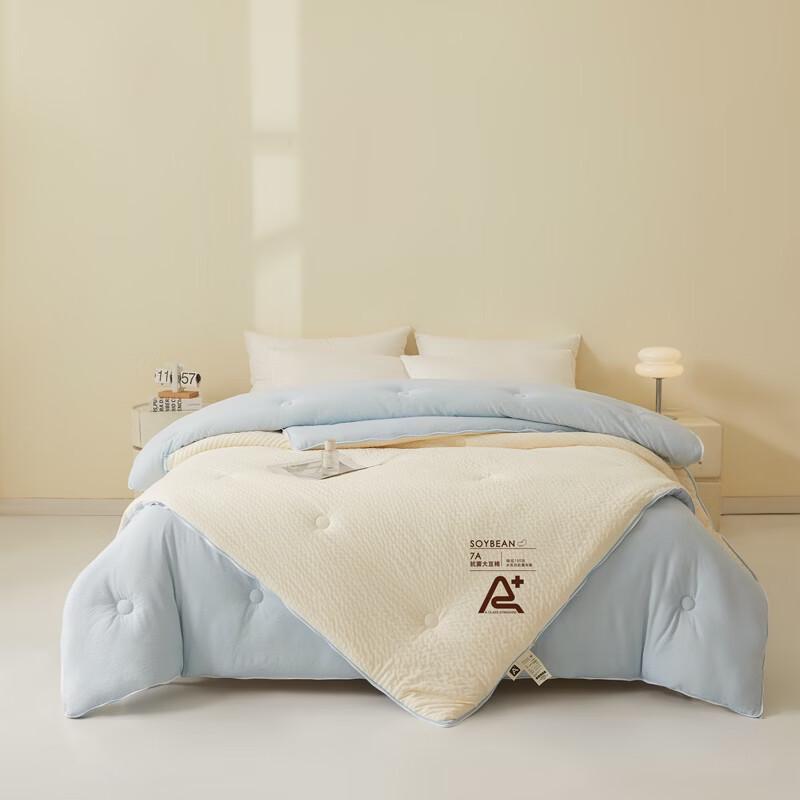 Pugu Soy Fiber All-Season Duo Comforter Set
