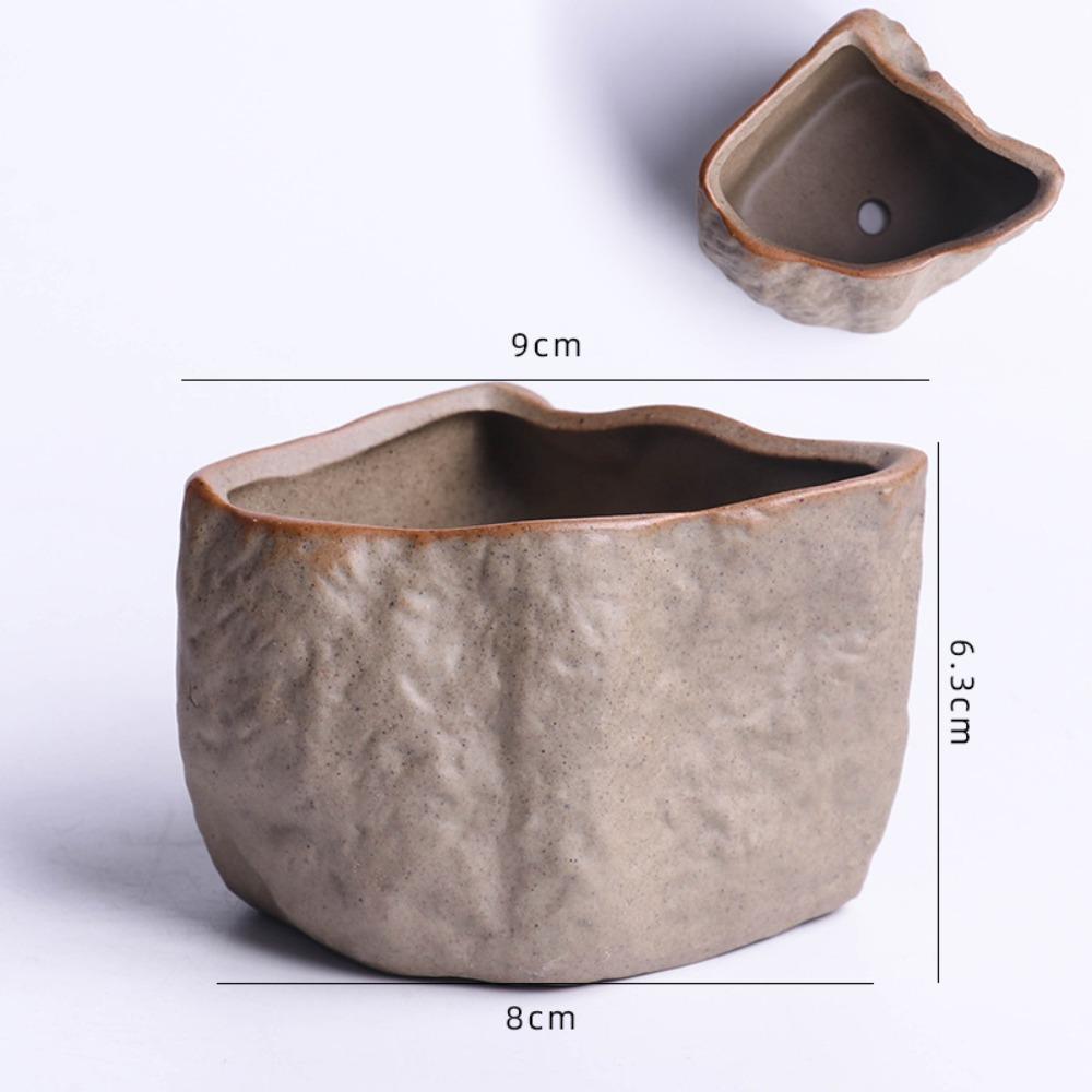 Wear Resistant Succulent Plant Pots Ceramic Plants Growing Container  Home Decoration