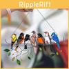 Vibrant Stained Glass Birds-on-a-wire Suncatcher For Happy Homes