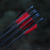 Junshi Mixed Carbon Arrows (3-Pack)