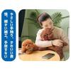 [HarFar] Toy Poodle Plush - Realistic, Lifelike, 48cmKhaki, cuddly, soothing plush dog pillow. Cute toy poodle doll for snuggling,