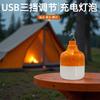 Outdoor Emergency Hall Camping Lights with Adjustable Brightness LED Charging Bubble Light Night Market Stall Handheld Light