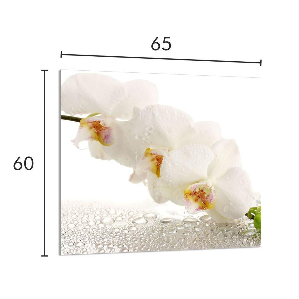 PANEL SZKLANY DO KUCHNI 65x60 Orchidea