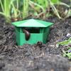 Krabička na 4 ks odchytu slimáků Snadno použitelný chránič zahradní farmy Past na slimáky Ekologický lapač slimáků pro zahradní dvorek