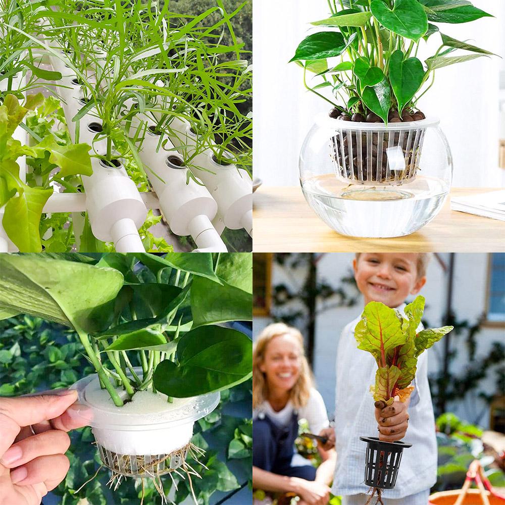 10pcs Hydroponic Baskets Plant Veg Grow Nursery Cup Pot Tray Aeroponic Planter Mini Wide Lip Design Black and White Garden Tools