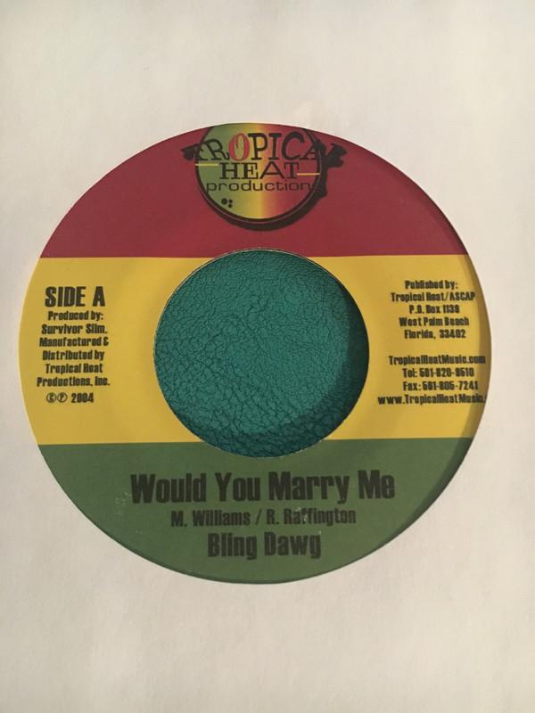 

7inch Record BLING DAWG - Would You Marry Me NONE Tropical Heat P 2004 Jamaica Reggae, Ska & Dub Used