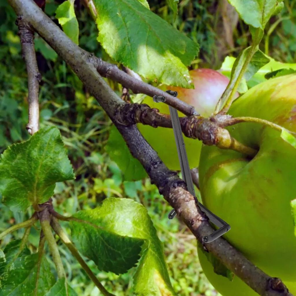 20PC Branch Bending Device Reusable Garden Fruit Tree Branch Support Fastener Tree Lock Tool Fastener Tree Lock