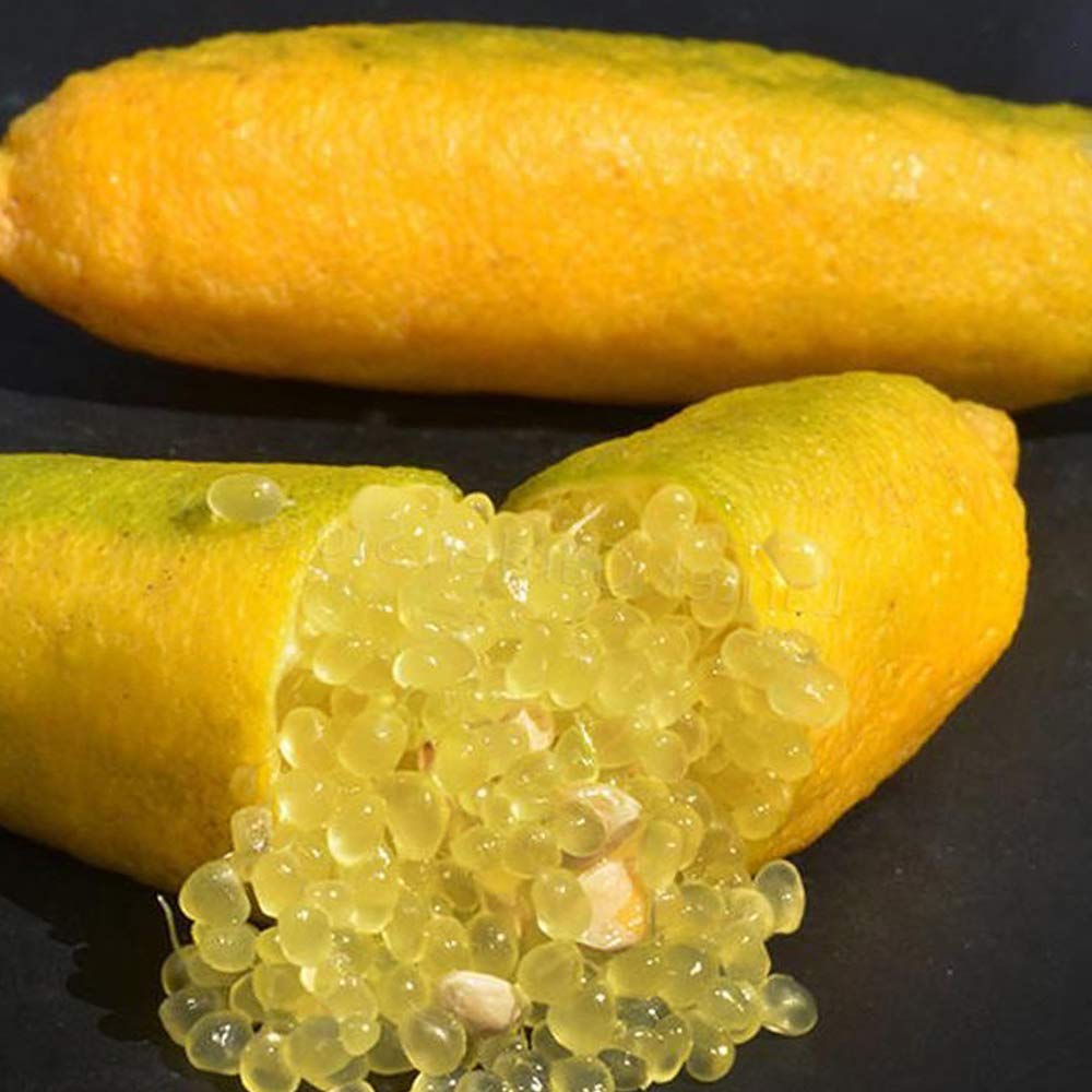 

саженец Солнечно-желтый палец длинный горшок дерево Солнечно-желтая кожа Светло-зеленый до Ярко-желтого и телесного цвета может немного отличаться в зависимости от