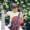Cello Fret Finger Sticker Adhesive Fret Board Label Finger Sticker For Cello Practice Training Beginners Cello Finger Guides