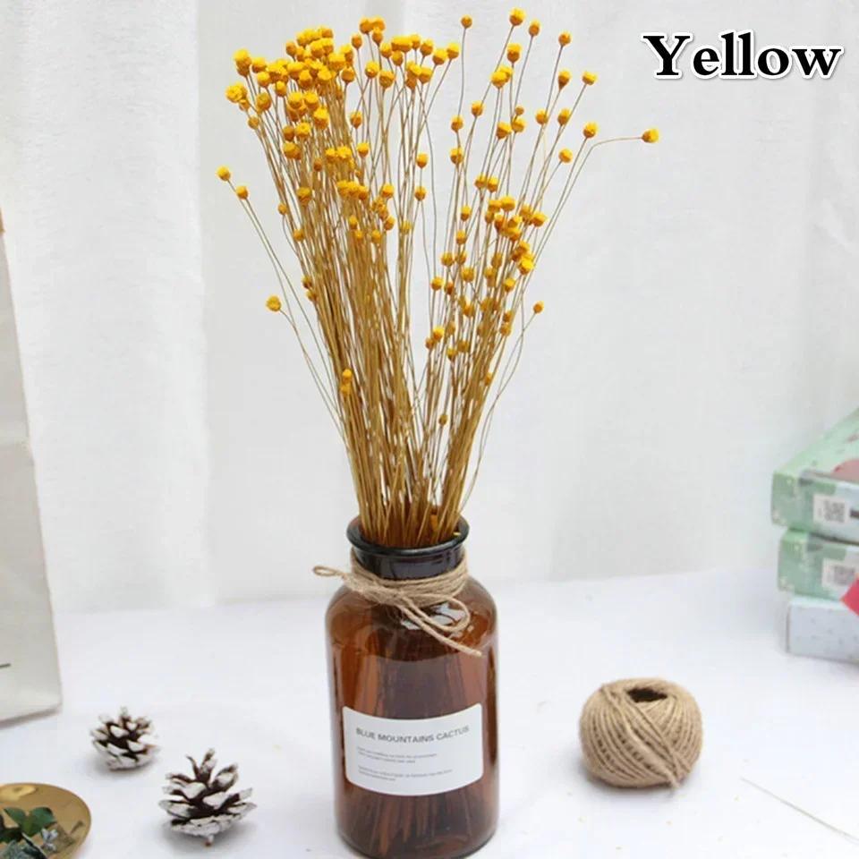 50 Bouquets Natural Real Small Dried Flowers Bouquets Brazilian Lucky Flowers Preserved Flowers Home Decoration Dried Flower