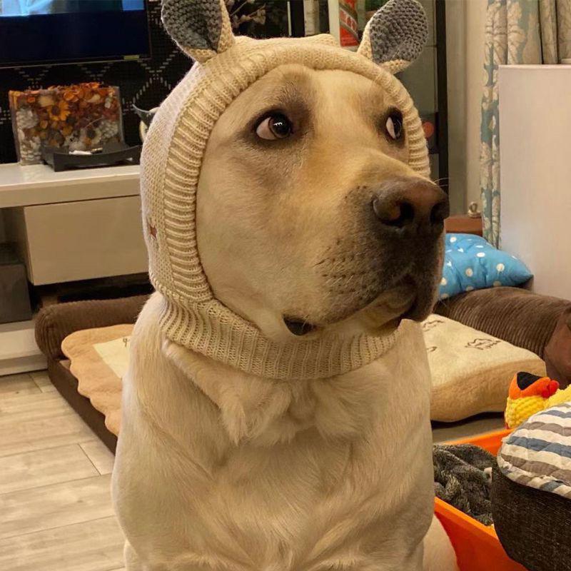 Pet Hat Winter Labrador Golden Retriever Funny Headgear Warm Cute Puppy Hat