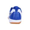 Li Ning Comfortable Cushioning Slip Resistant Abrasion Resistant Breathable Low Top Table Tennis Shoes Women's APTT007-4