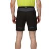 Regatta Mountain II Shorts