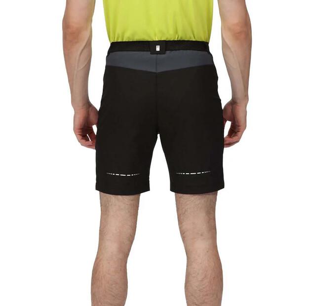 Regatta Mountain II Shorts