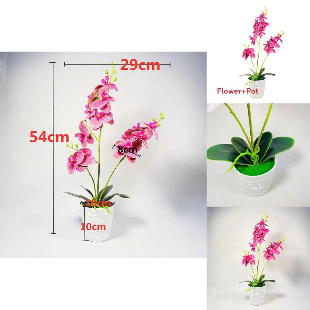 Phalaenopsis Fake Potted Plant Blossom With Pvc And Injection Molding For Office Table Decor