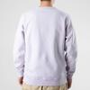 Converse Sweatshirts Men's Light Purple Crew Neck Thickened Regular 10021636-A04
