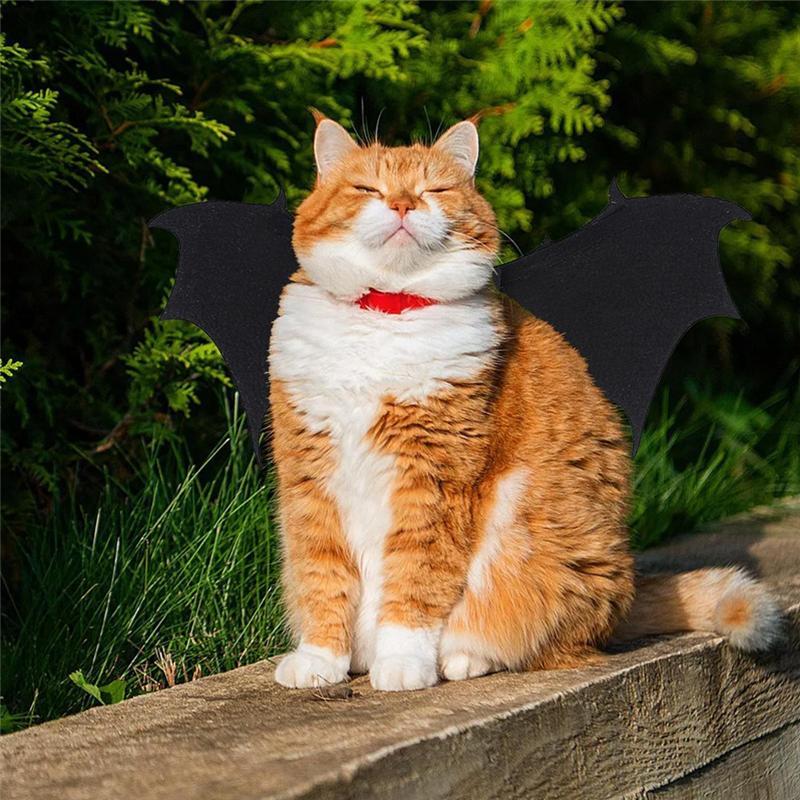HHO-Halloween Costumes For Dogs Halloween Dog Costume Bat Wings Outfit Festive Cosplay Props For Club Outdoor Dress Up